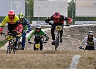 921H8274 bmx-tc-12-9-21